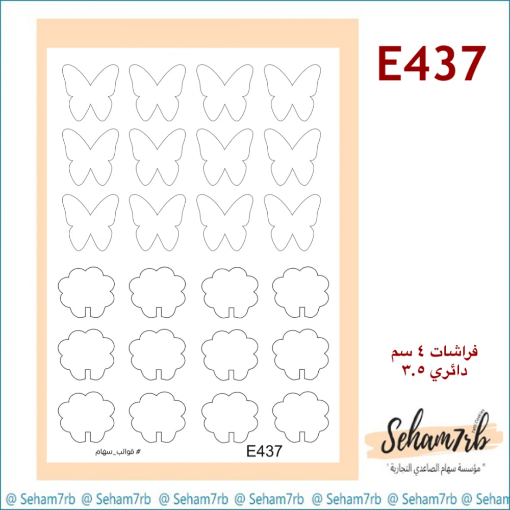 E437 - صورة 1