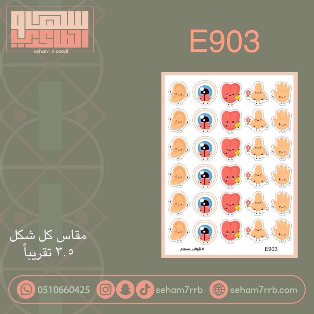E903 الحواس الخمس - صورة 1