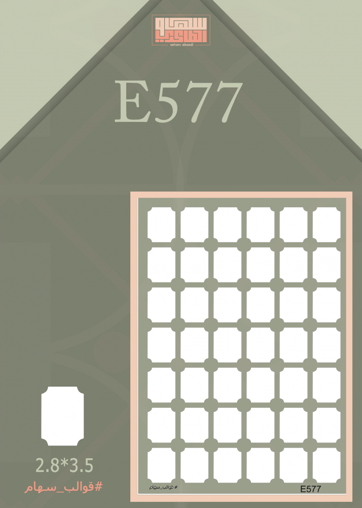 E577 - صورة 1
