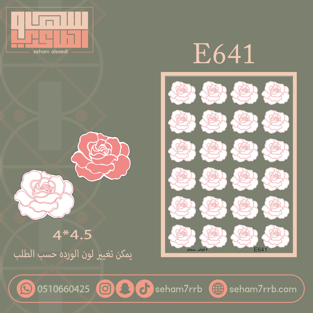 E641 - صورة 1