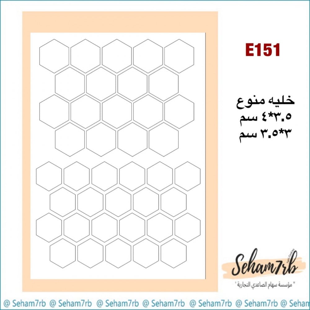 E151 - صورة 1
