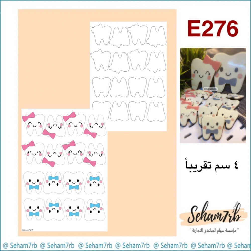 E276 - صورة 1