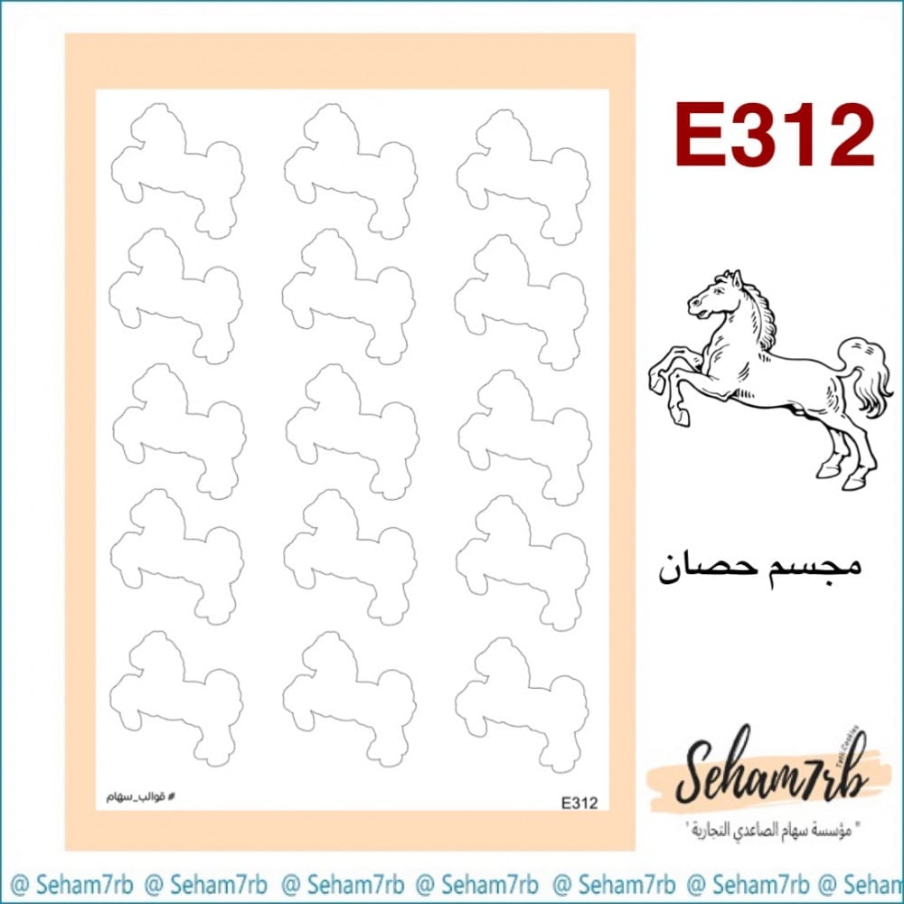 E312 - صورة 1