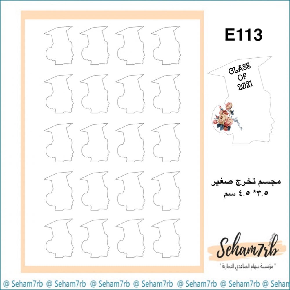 E113 - صورة 1