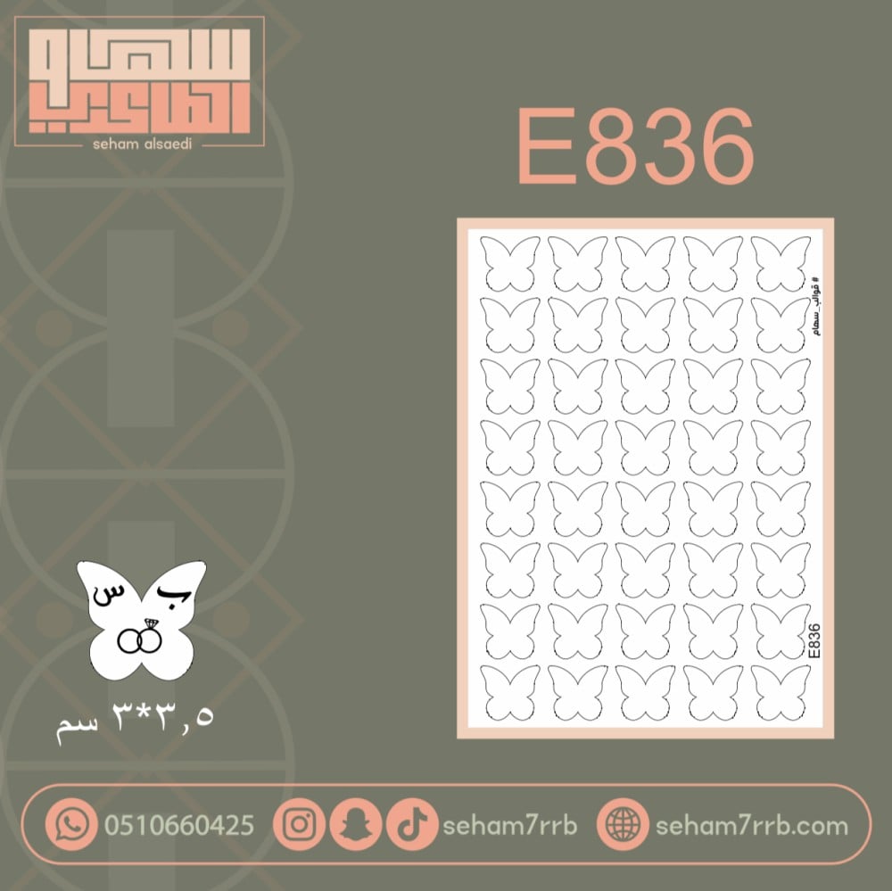 E836 - صورة 1