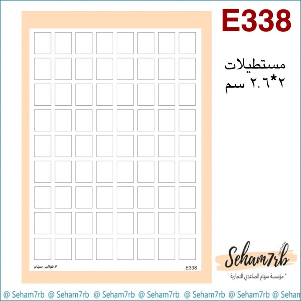 E338 - صورة 1