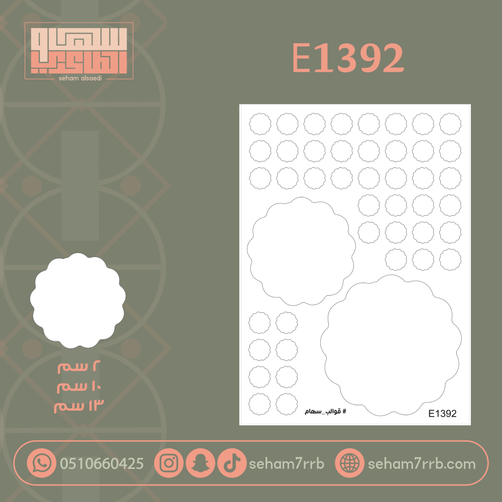 E1393 - صورة 2