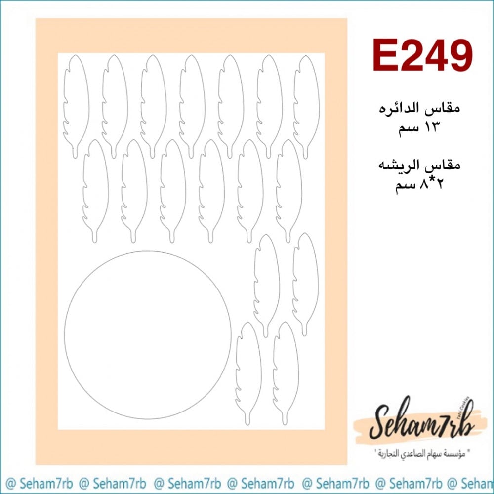 E249 - صورة 1