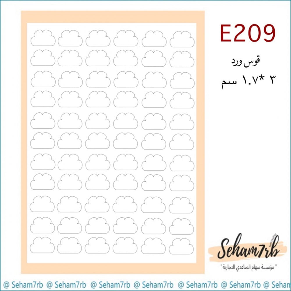 E209 - صورة 1