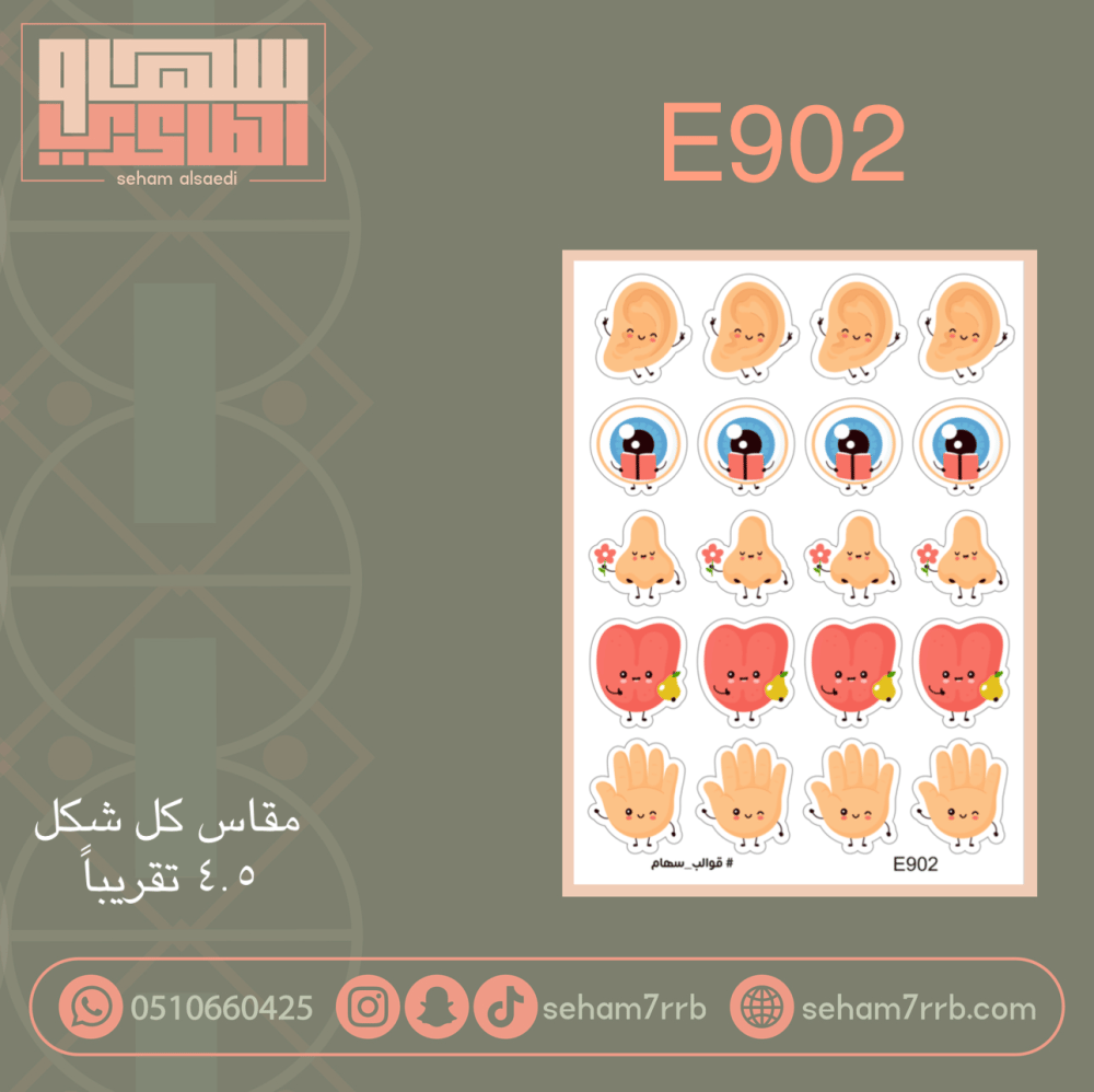 E902 الحواس الخمس - صورة 1
