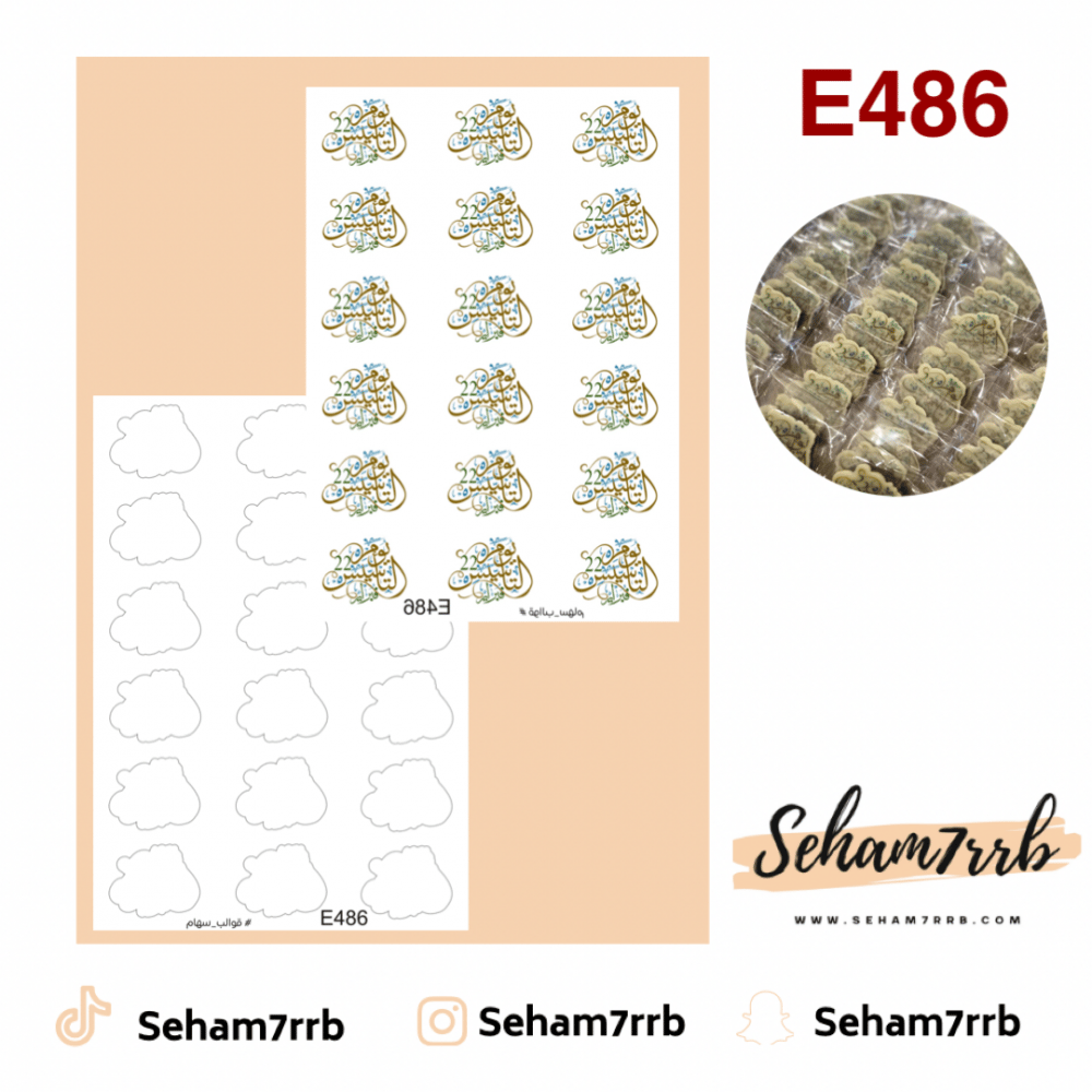 E486 - صورة 1