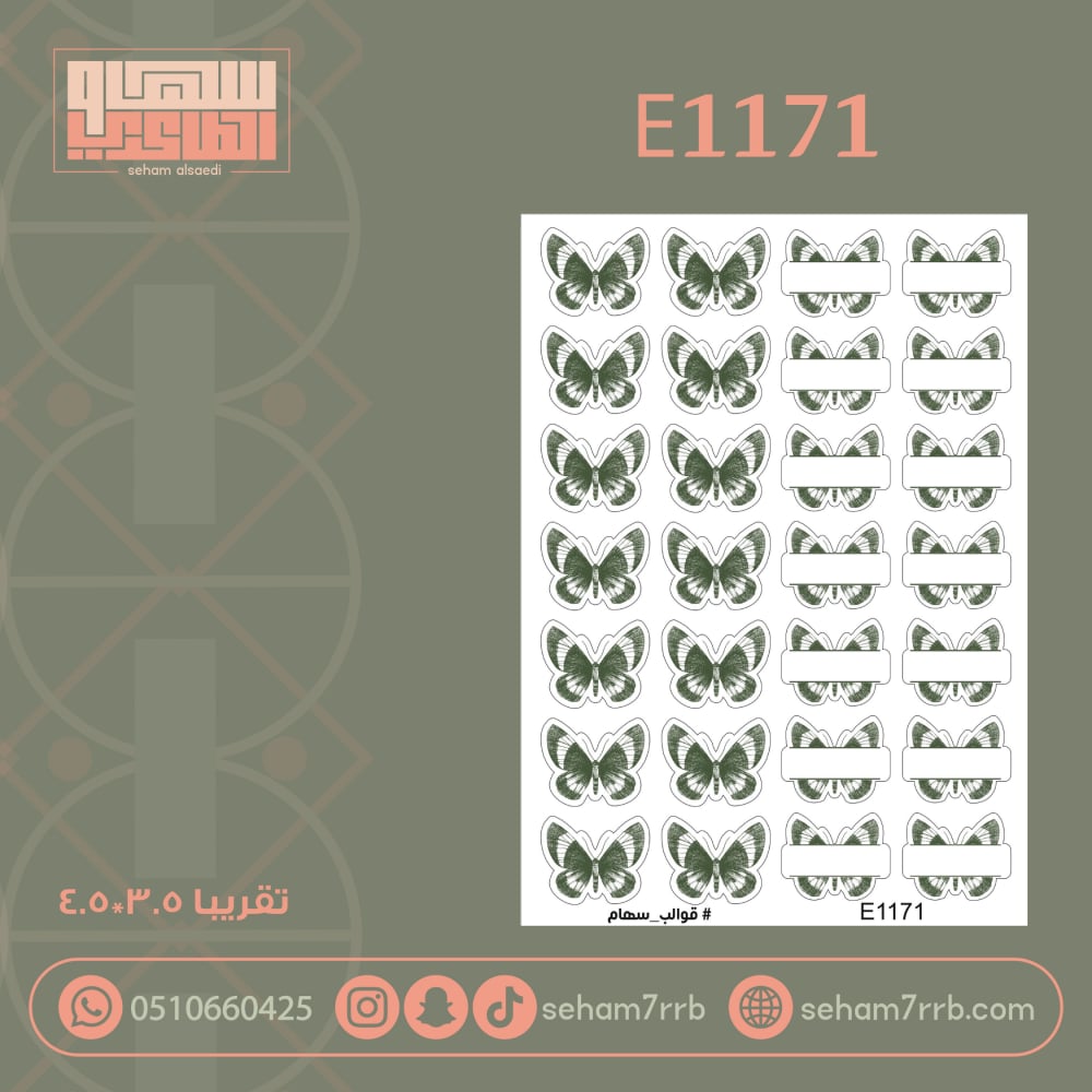 E1171 - صورة 1