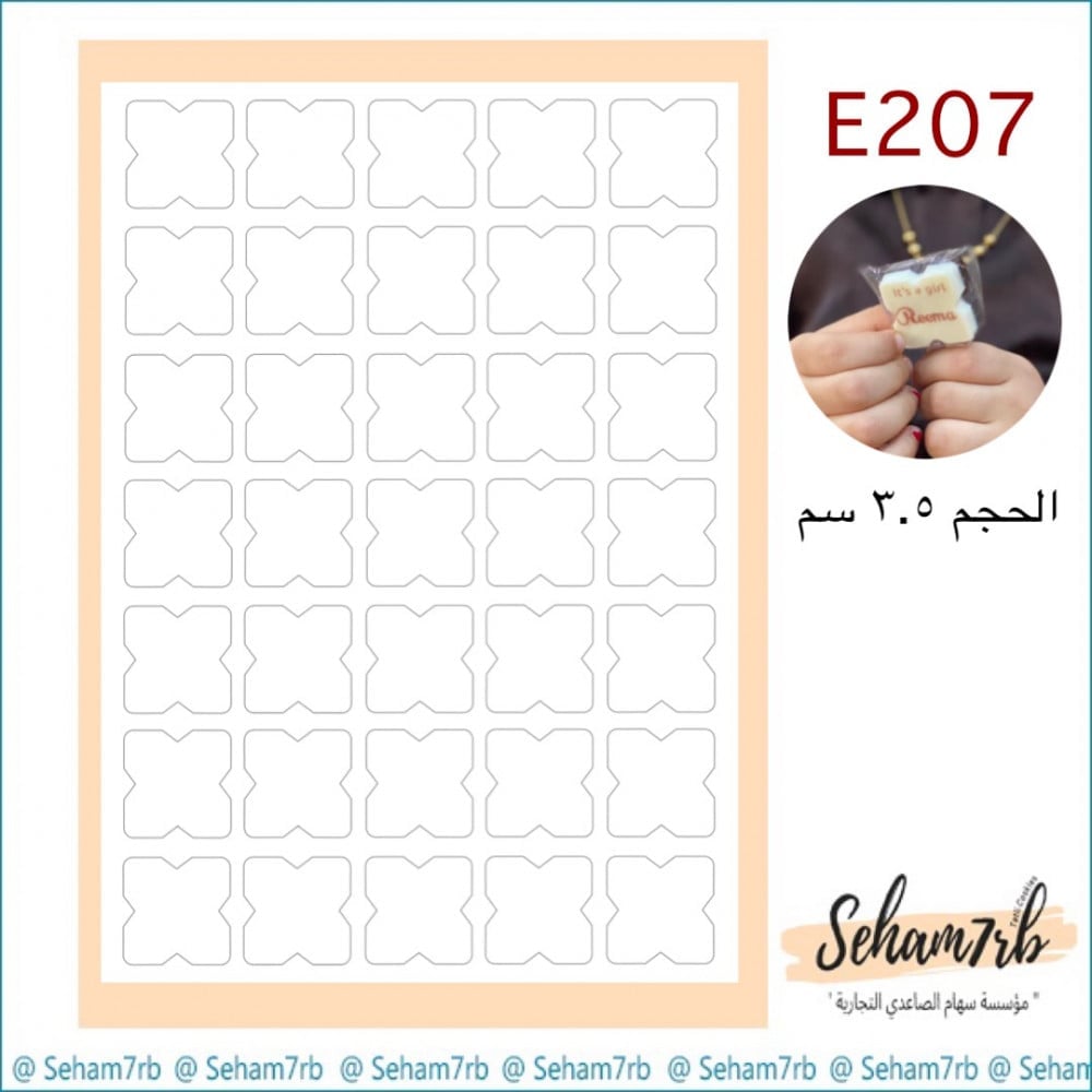E207 - صورة 1