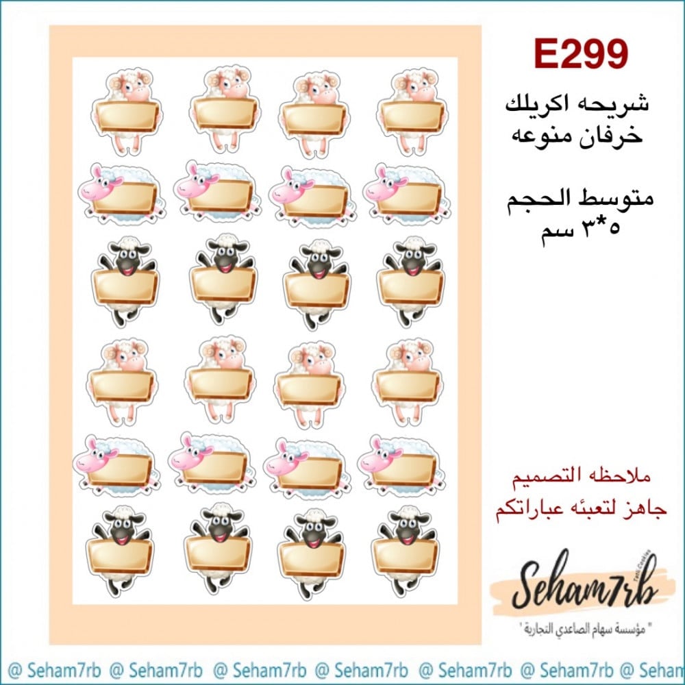 E299 - صورة 1