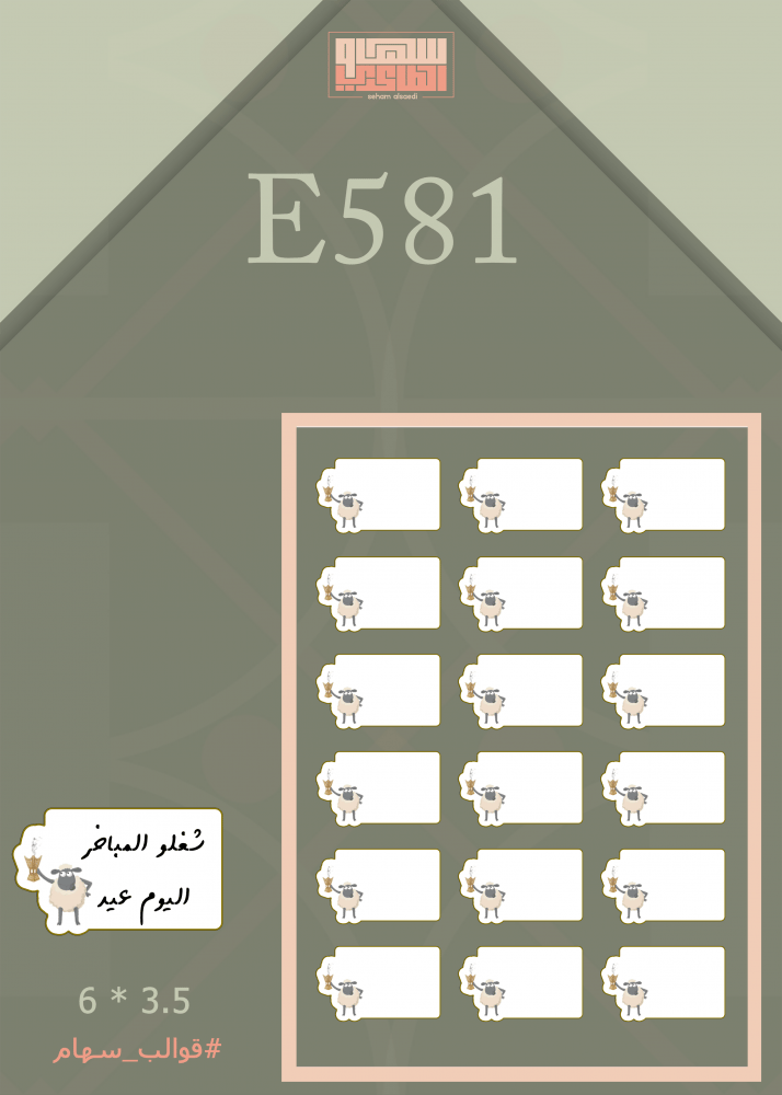 E581 - صورة 1