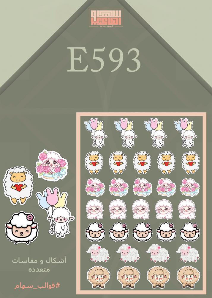 E593 - صورة 1
