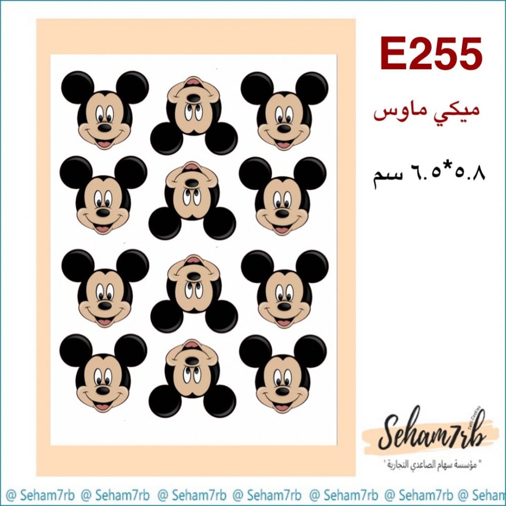 E255 - صورة 1