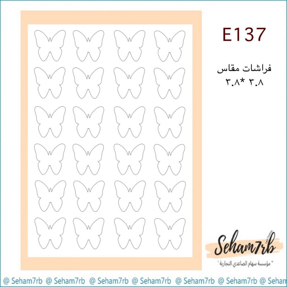 E137 - صورة 1