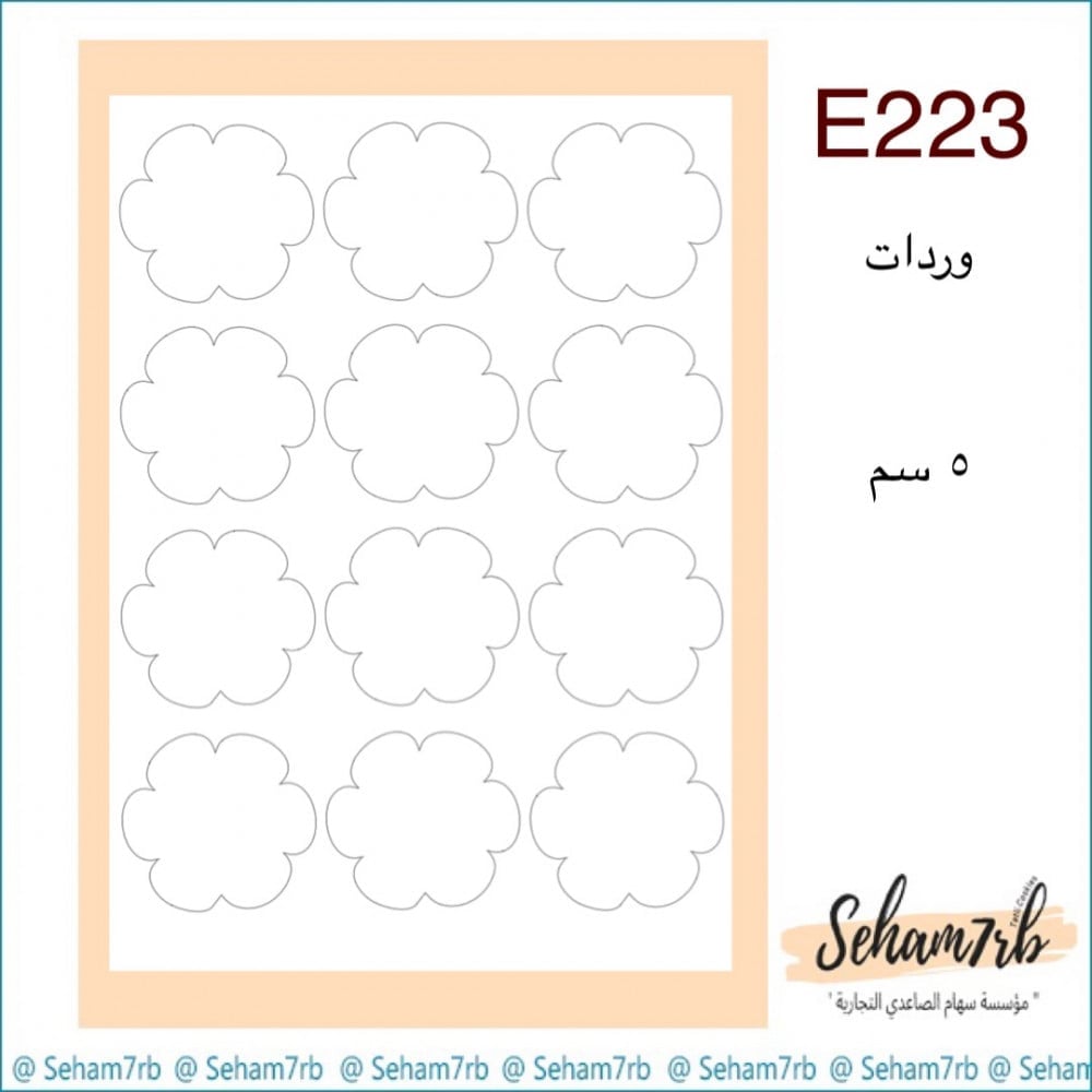 E223 - صورة 1