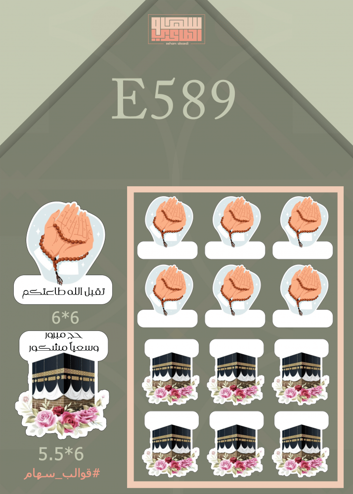 E589 - صورة 1