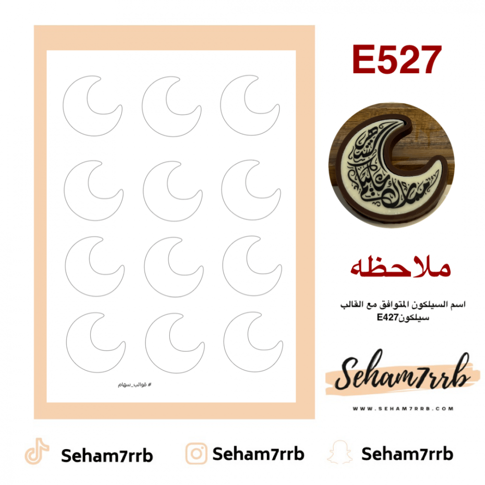 E527 - صورة 2