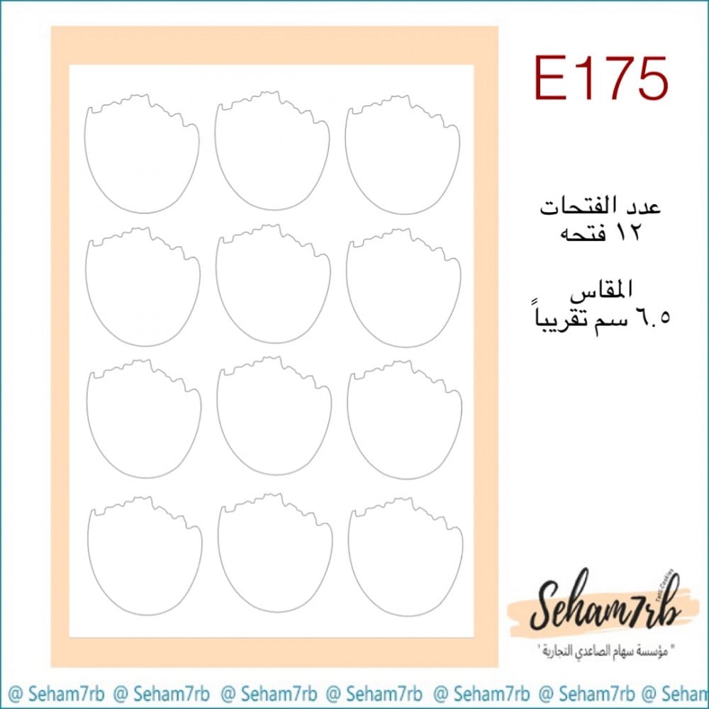 E175 - صورة 1