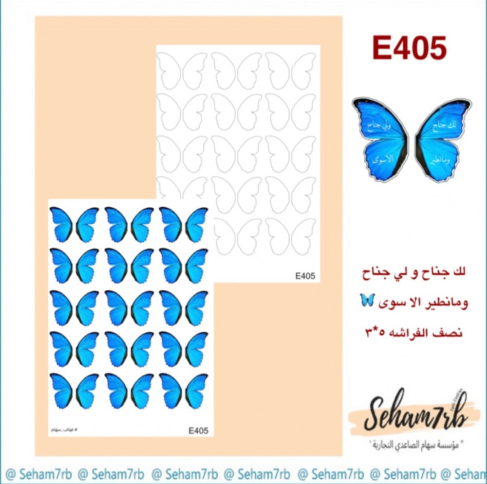 E405 - صورة 1