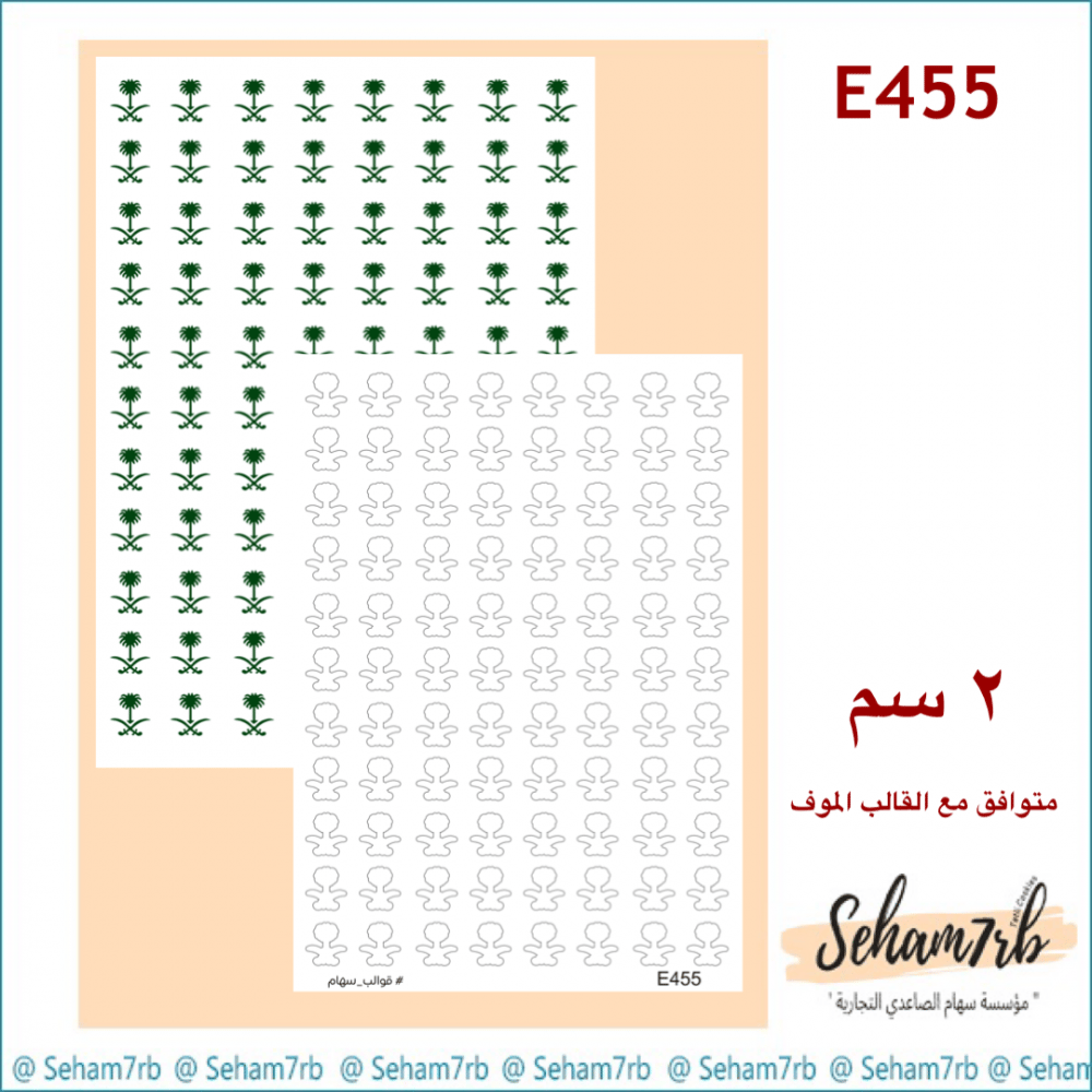 E455 - صورة 1
