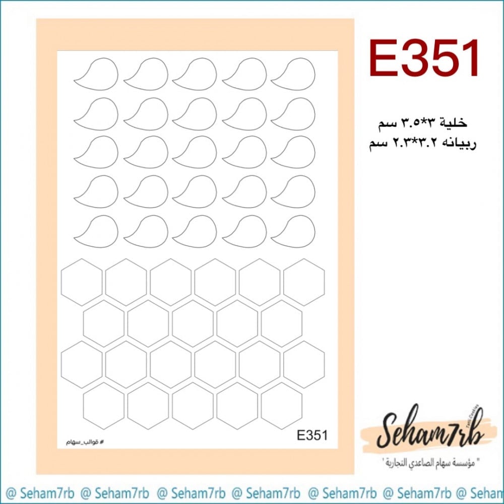 E351 - صورة 1