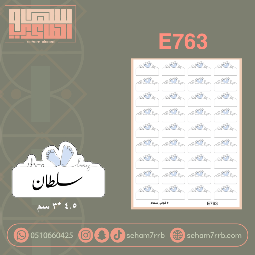 E763 - صورة 1