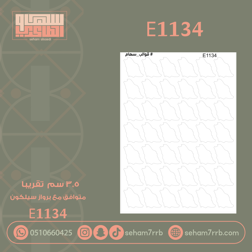 E1134 - صورة 1