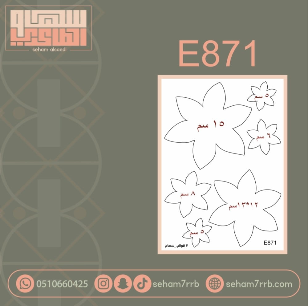 E871 - صورة 1