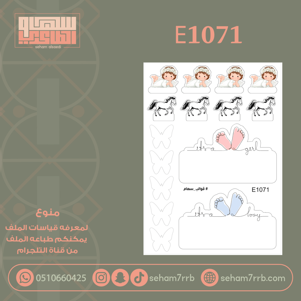 E1071 - صورة 1