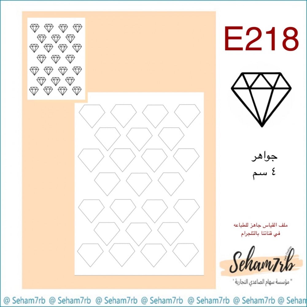 E218 - صورة 1