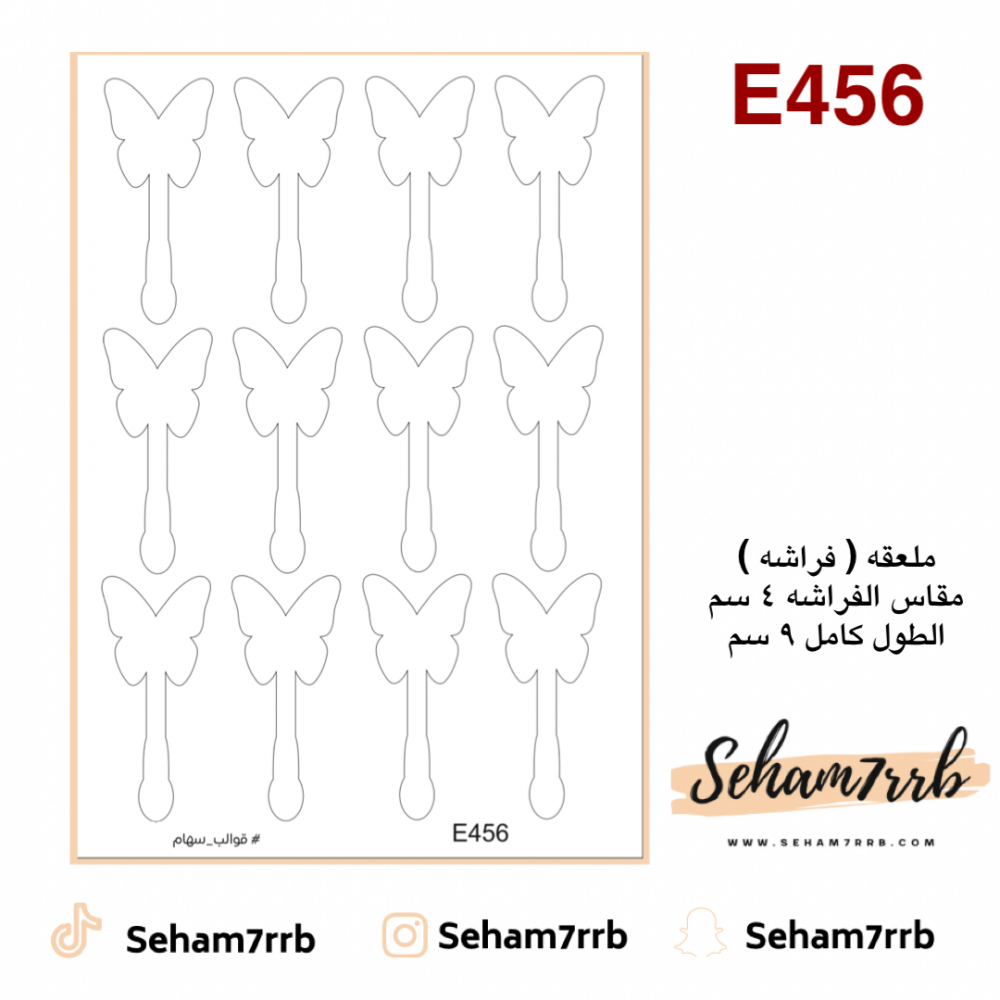 E456 - صورة 1