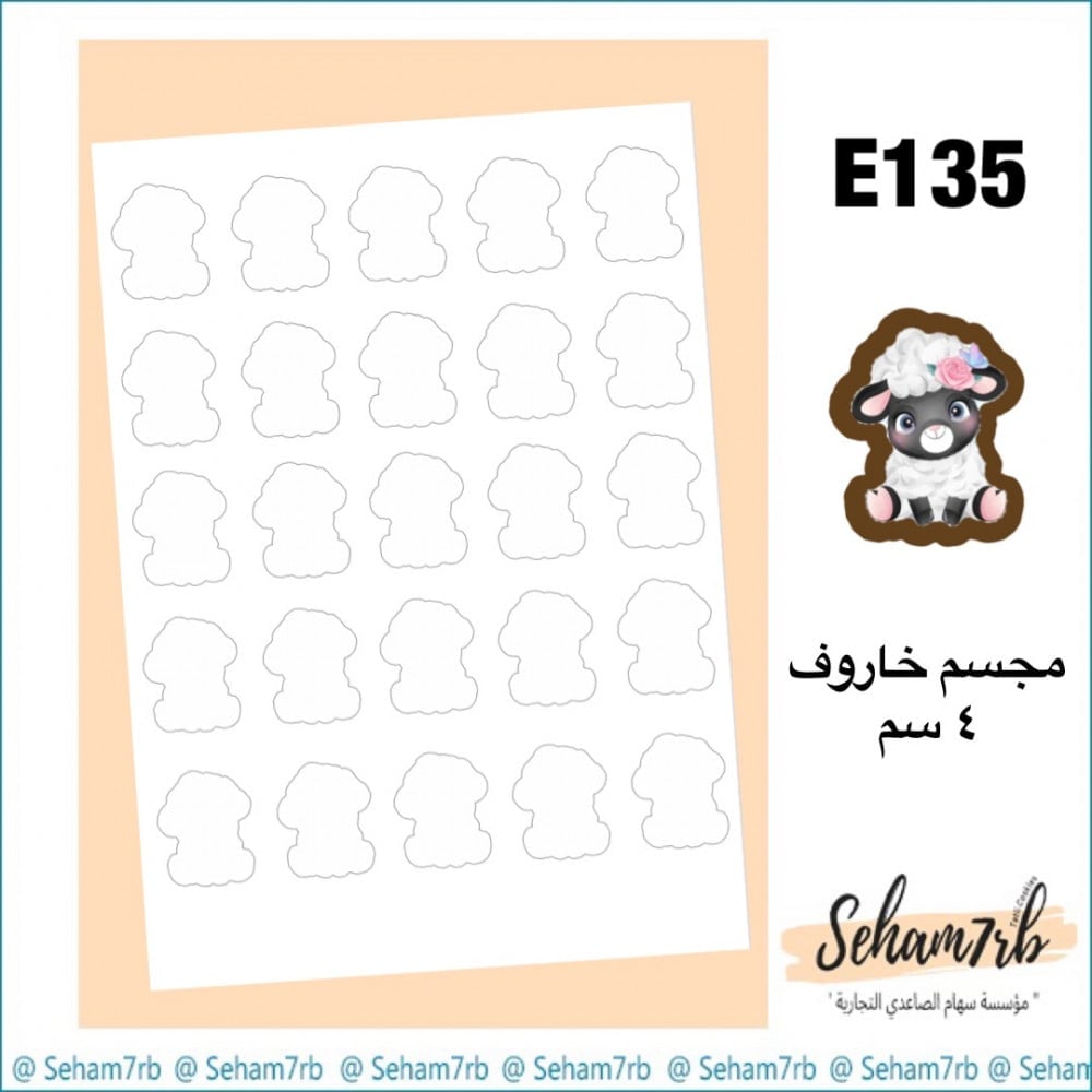 E135 - صورة 1