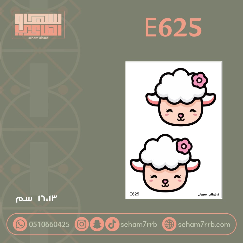 E625 - صورة 1