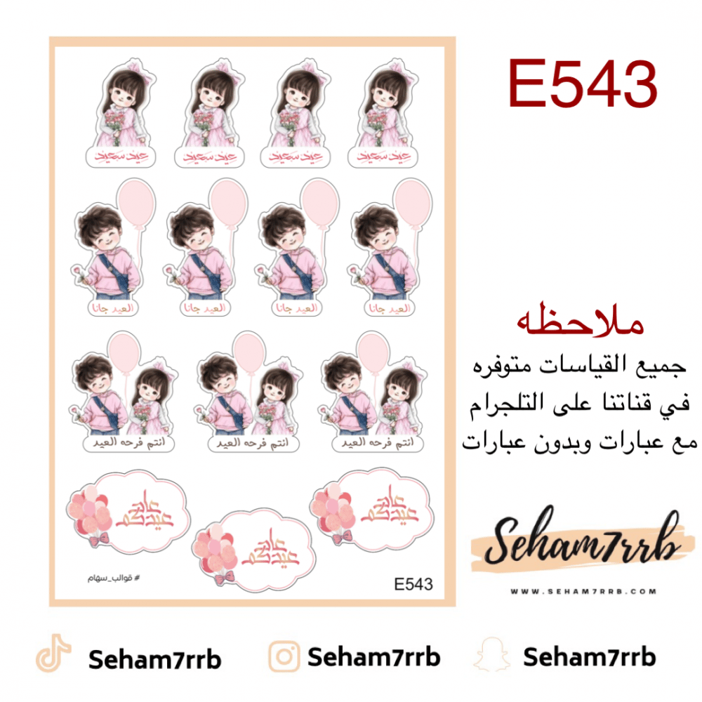 E543 - صورة 1