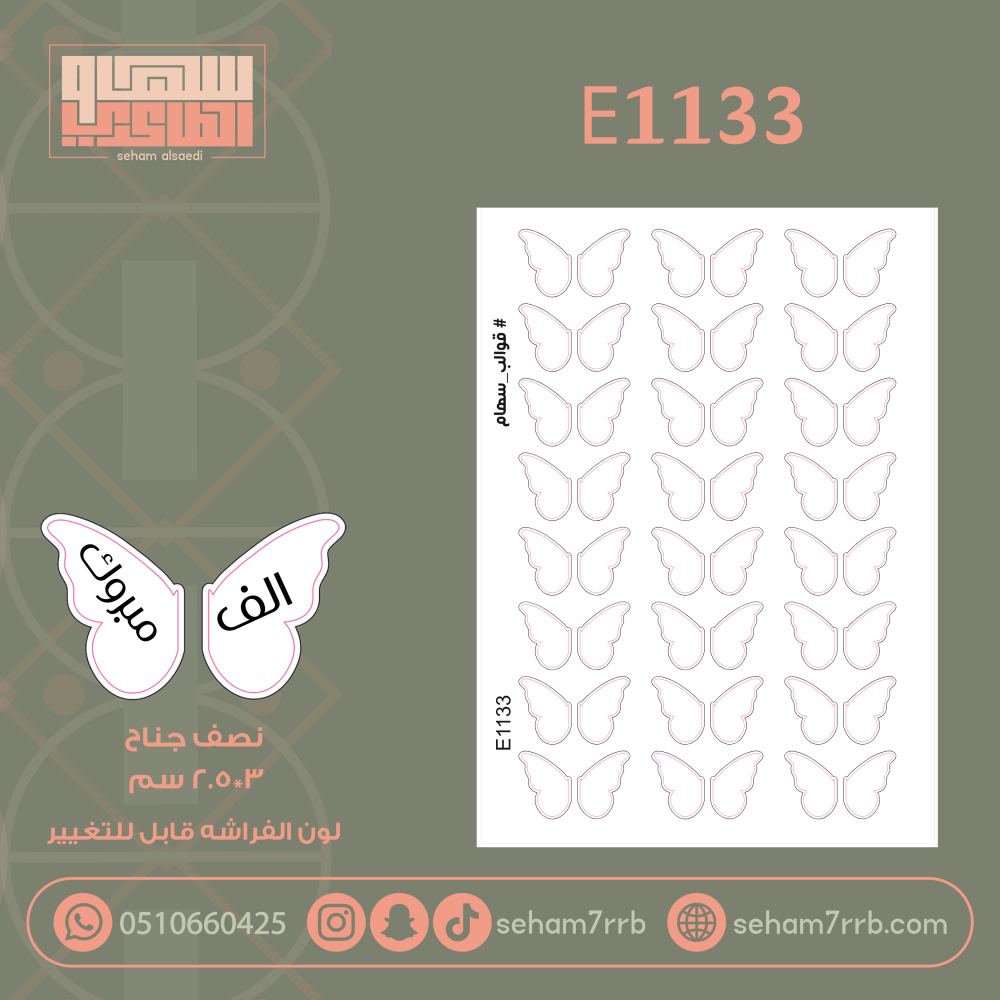 E1133 - صورة 1