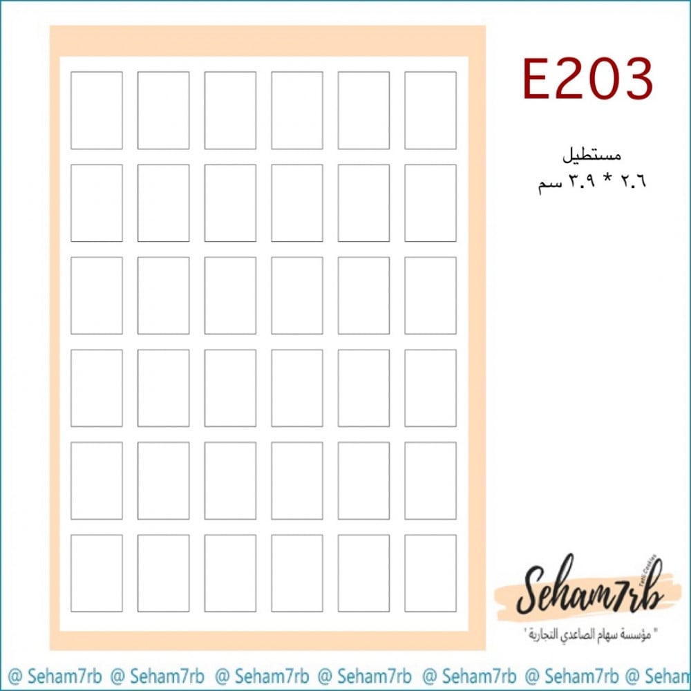 E203 - صورة 1