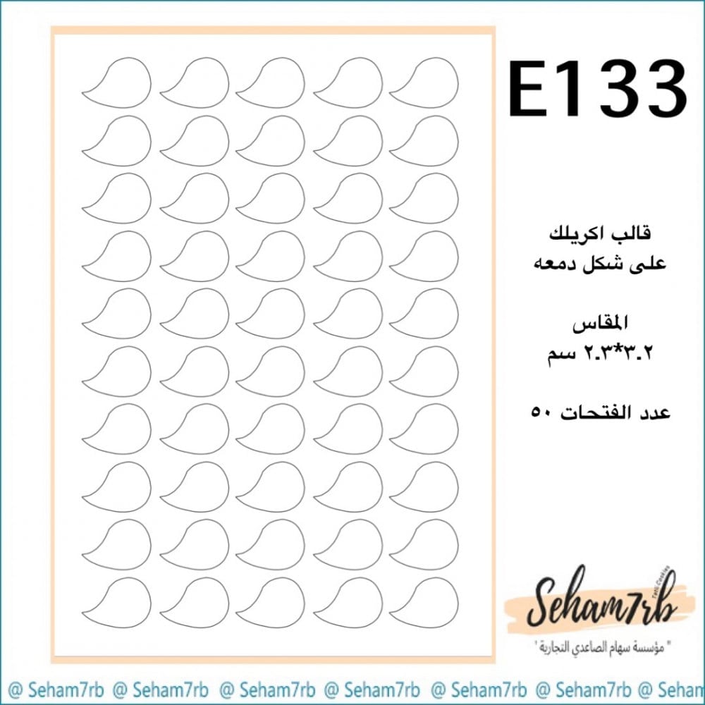 E133 - صورة 1