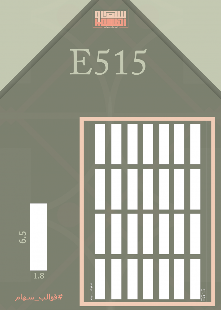 E515 - صورة 1