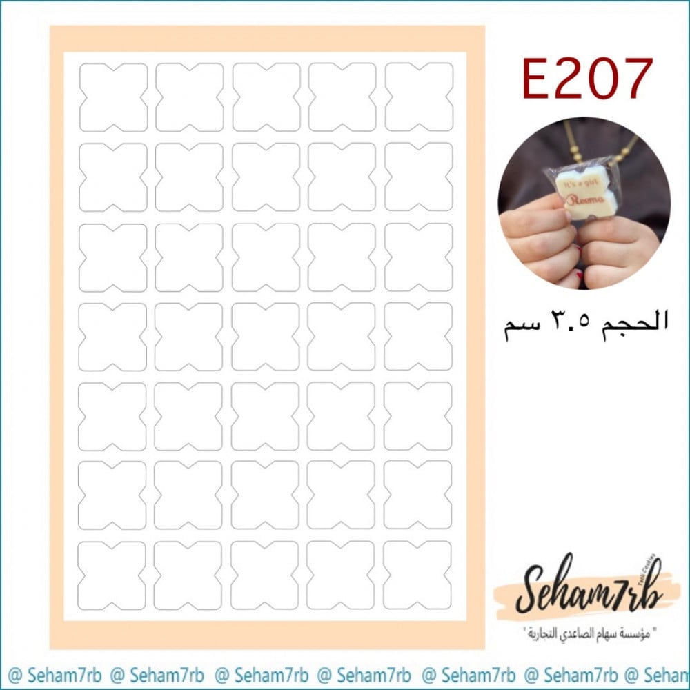 E207 - صورة 1