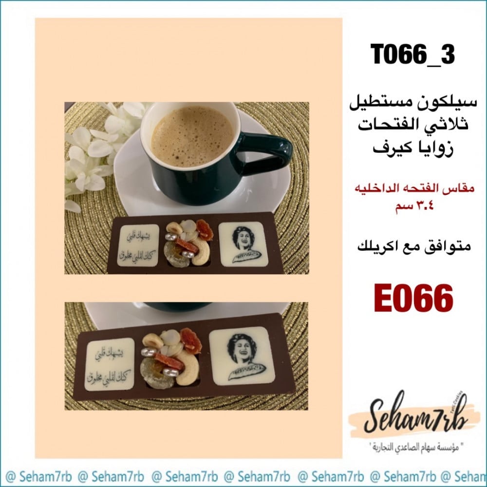 T066_3 - صورة 1