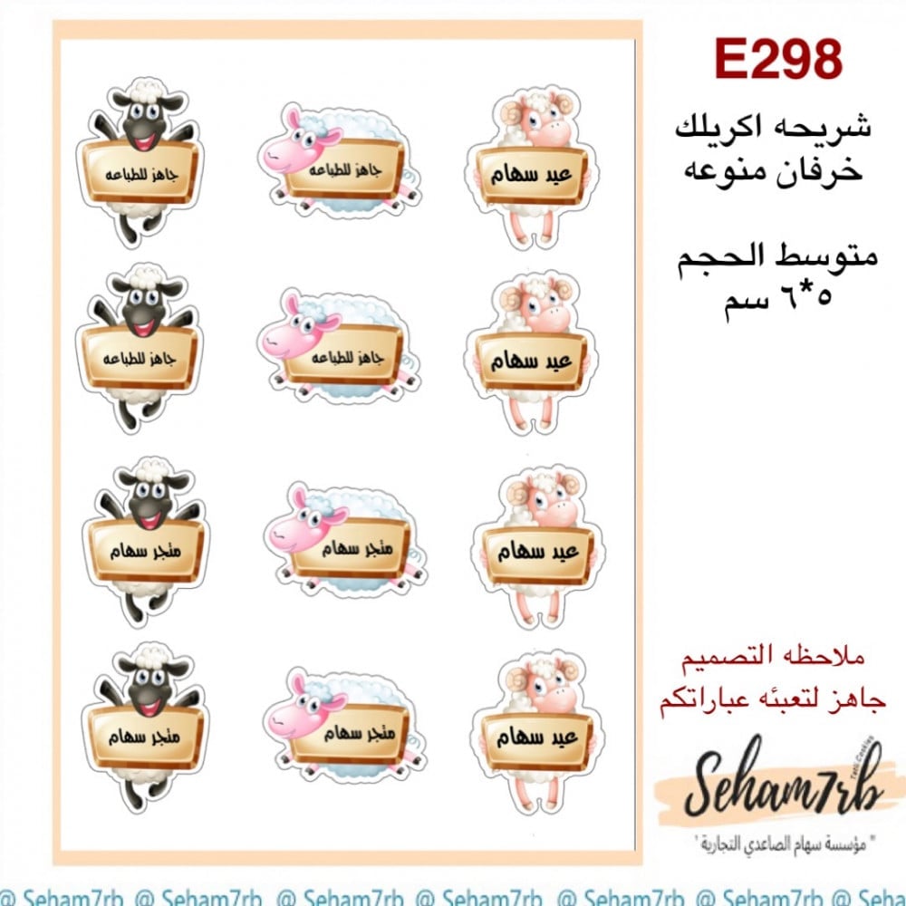 E298 - صورة 1