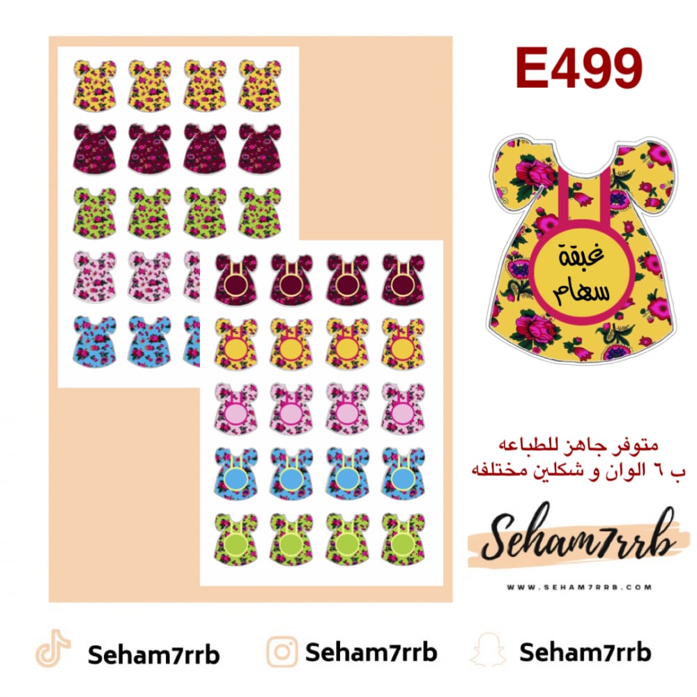 E499 - صورة 1