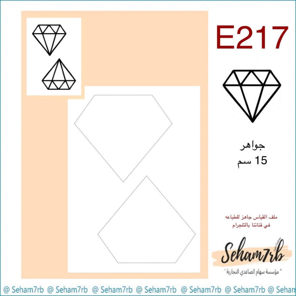 E217 - صورة 1
