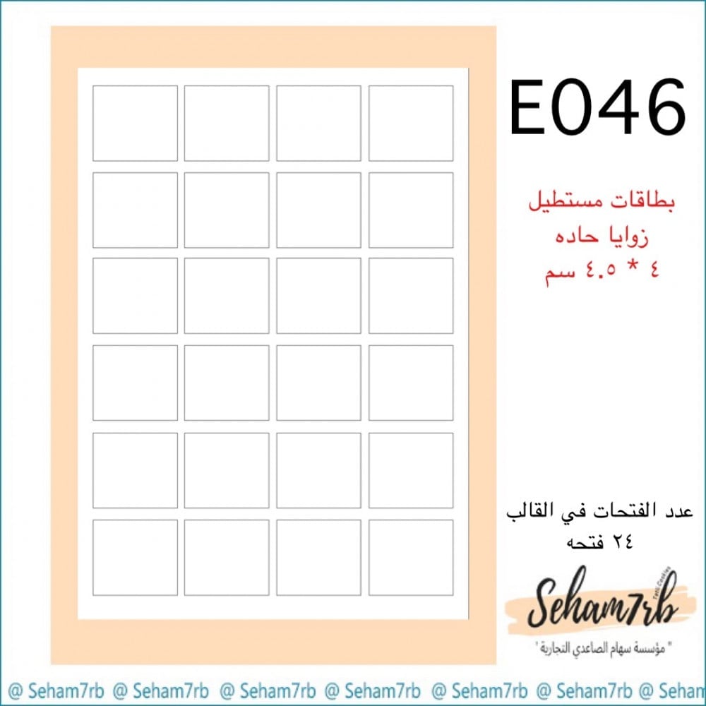E046 - صورة 1