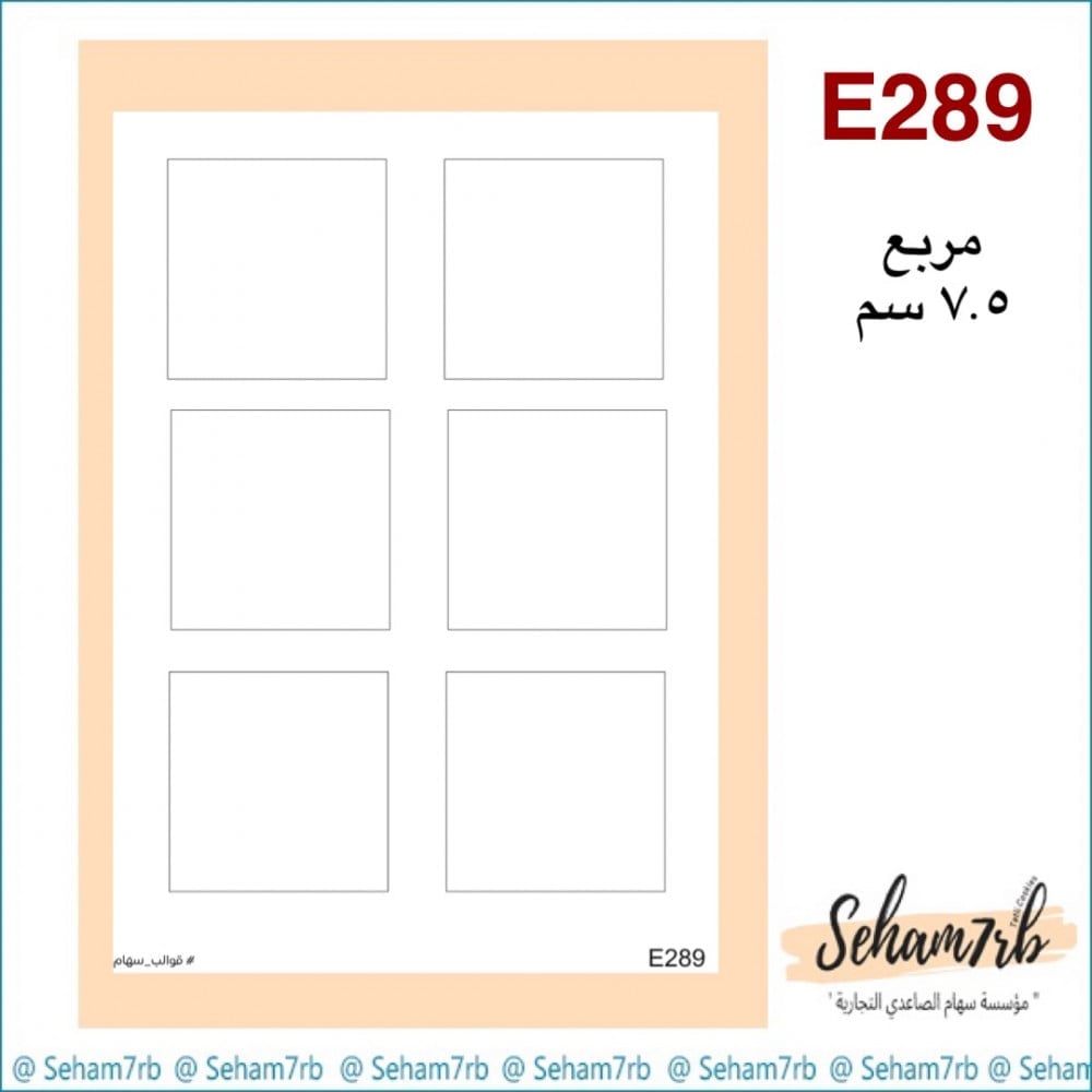 E289 - صورة 1