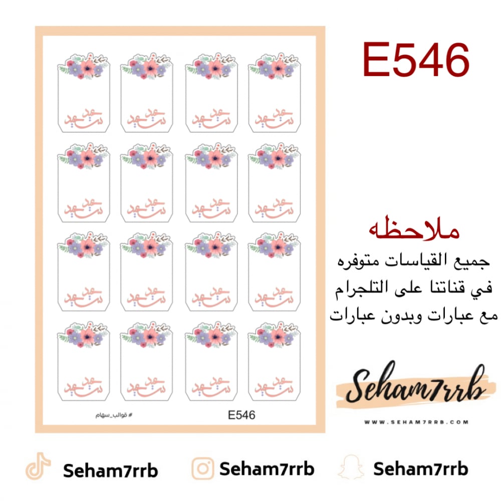 E546 - صورة 1